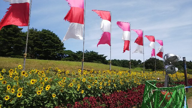 f:id:kimagure_tk:20190813135754j:image f:id:kimagure_tk:20190813135754j:image