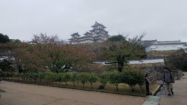 f:id:kimagure_tk:20191029194139j:image
