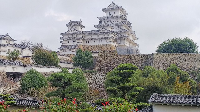 f:id:kimagure_tk:20191029194356j:image