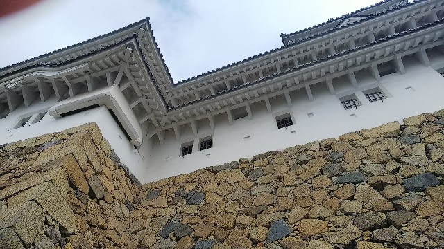 f:id:kimagure_tk:20191029194454j:image