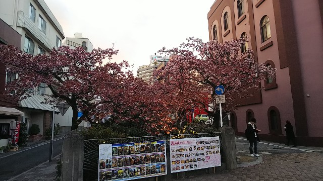 f:id:kimagure_tk:20200212095955j:image f:id:kimagure_tk:20200212095955j:image