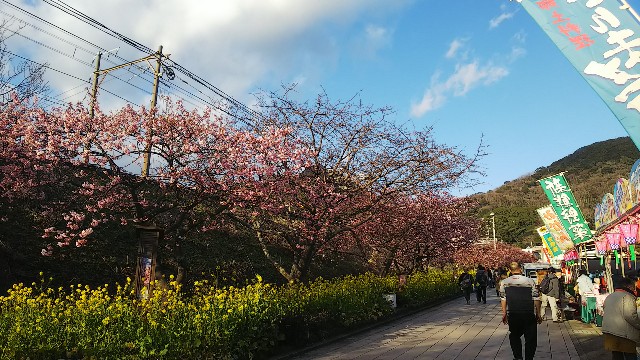 f:id:kimagure_tk:20200214102527j:image