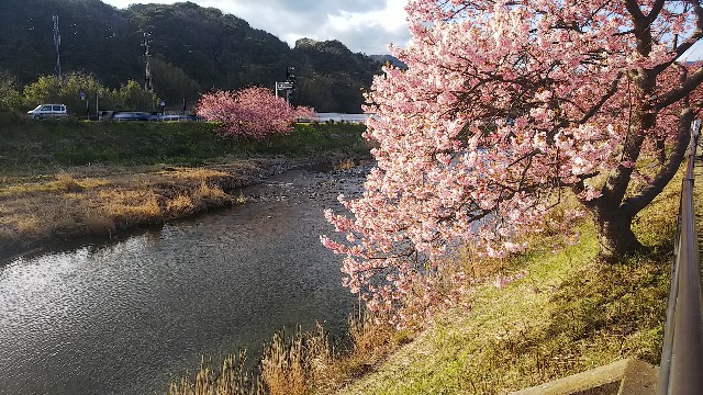 f:id:kimagure_tk:20200214102934j:image