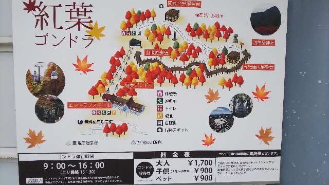 f:id:kimagure_tk:20201030104228j:image
