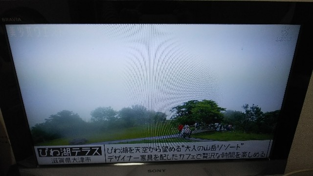 f:id:kimagure_tk:20201115130528j:image f:id:kimagure_tk:20201115130528j:image