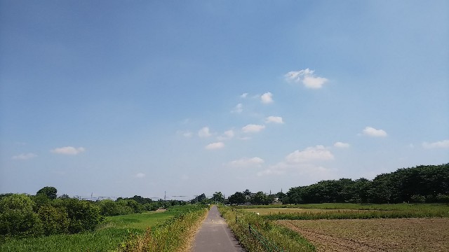f:id:kimagure_tk:20210422150715j:image