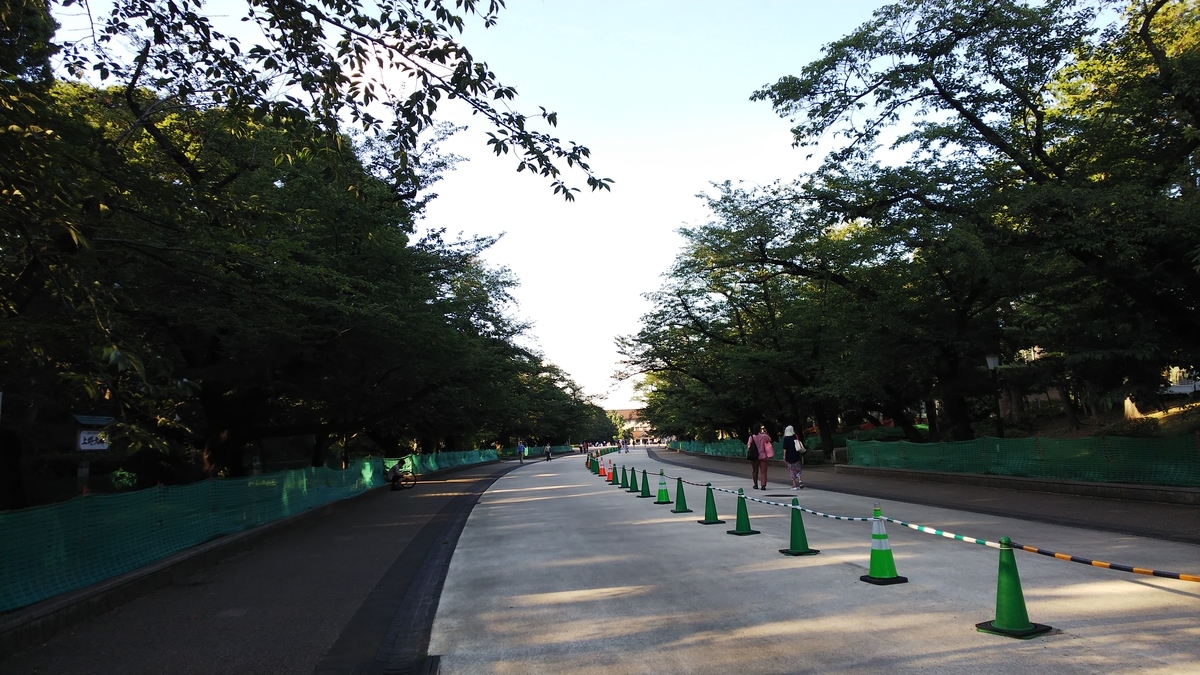 f:id:kimagure_tk:20210917082602j:plain
