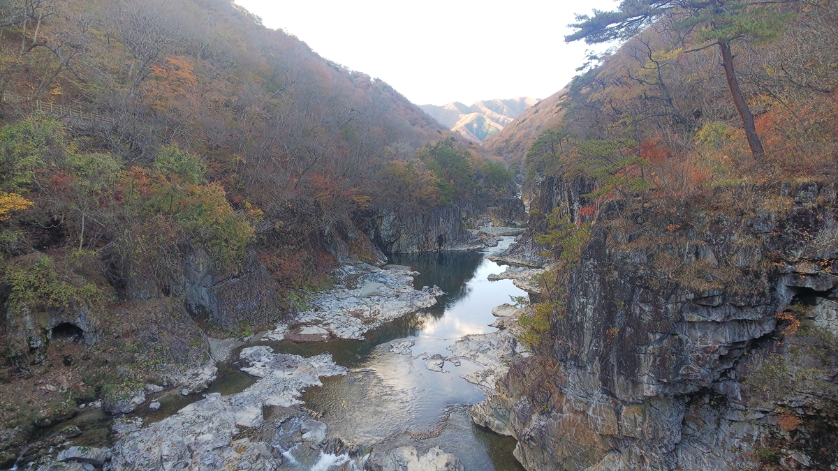 f:id:kimagure_tk:20211114084246j:plain