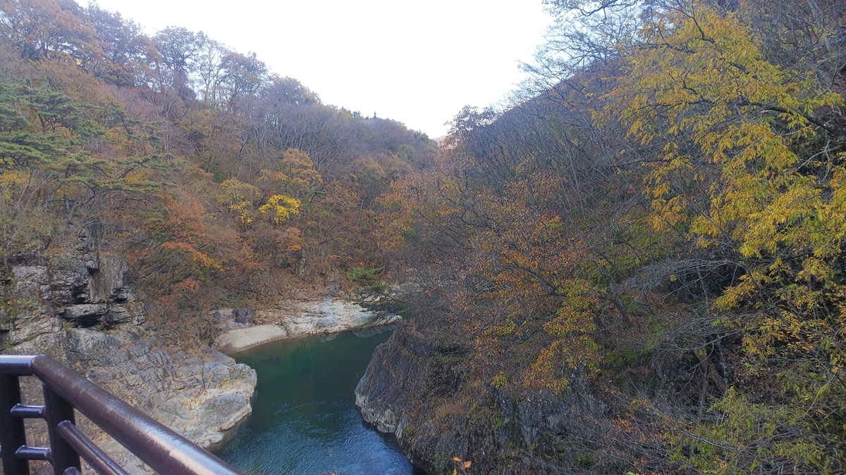f:id:kimagure_tk:20211114084323j:plain