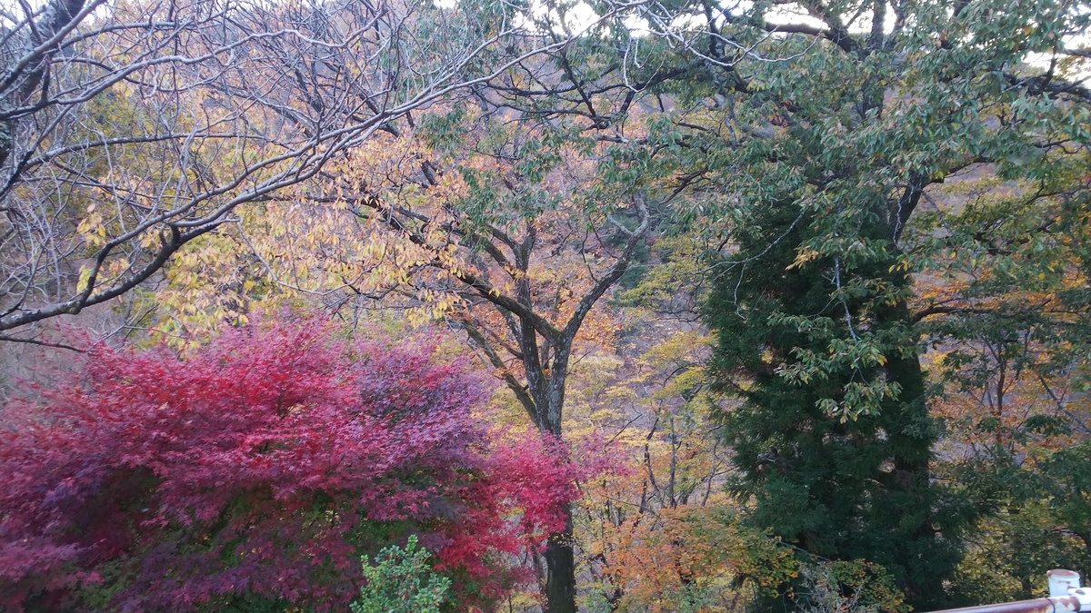 f:id:kimagure_tk:20211114084538j:plain