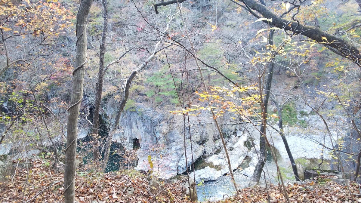 f:id:kimagure_tk:20211114084839j:plain