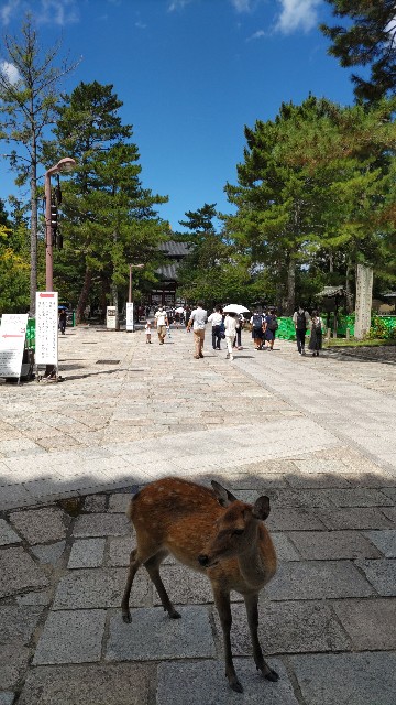 f:id:kimagure_tk:20220911131836j:image