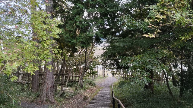 f:id:kimagure_tk:20221030122153j:image