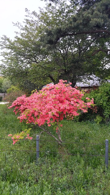f:id:kimagure_tk:20230427082318j:image