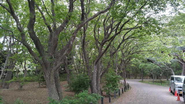 f:id:kimagure_tk:20230427082358j:image