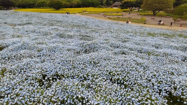f:id:kimagure_tk:20230427082445j:image