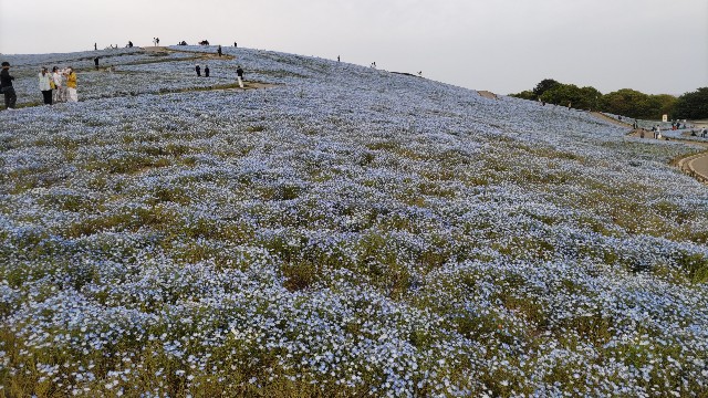f:id:kimagure_tk:20230427082807j:image