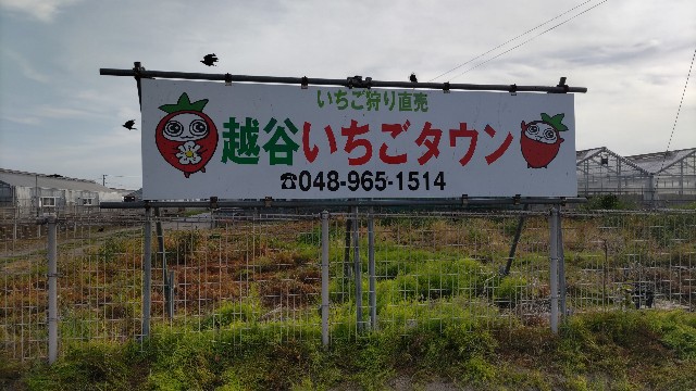 f:id:kimagure_tk:20230506084725j:image