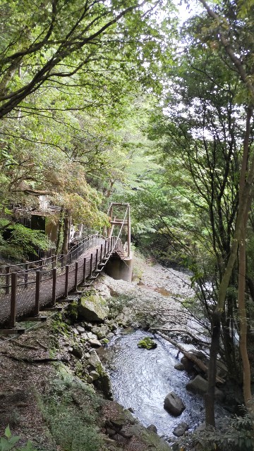 f:id:kimagure_tk:20230529093251j:image f:id:kimagure_tk:20230529093251j:image