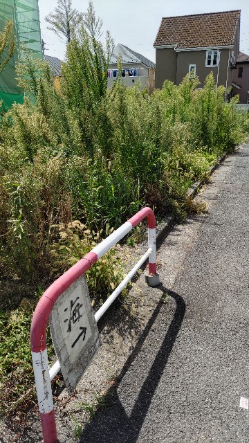 f:id:kimagure_tk:20230831111153j:image