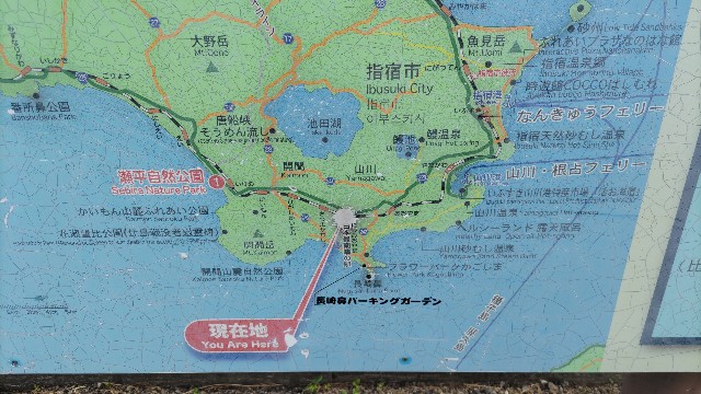 f:id:kimagure_tk:20230917091430j:image