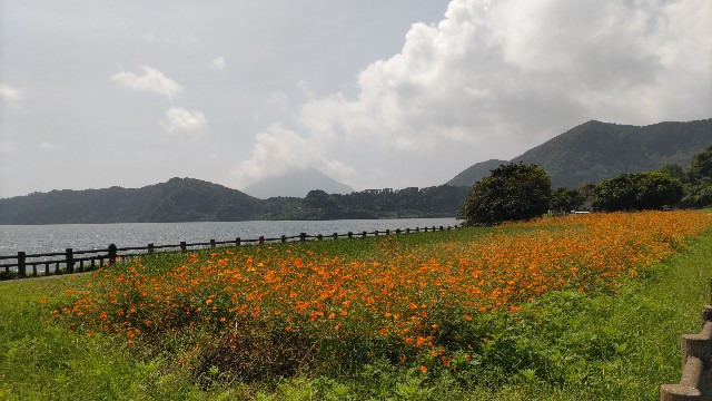 f:id:kimagure_tk:20230917092127j:image