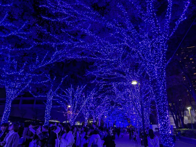 f:id:kimagure_tk:20231207101242j:image