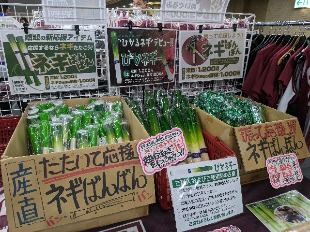 f:id:kimagure_tk:20240218113412j:image