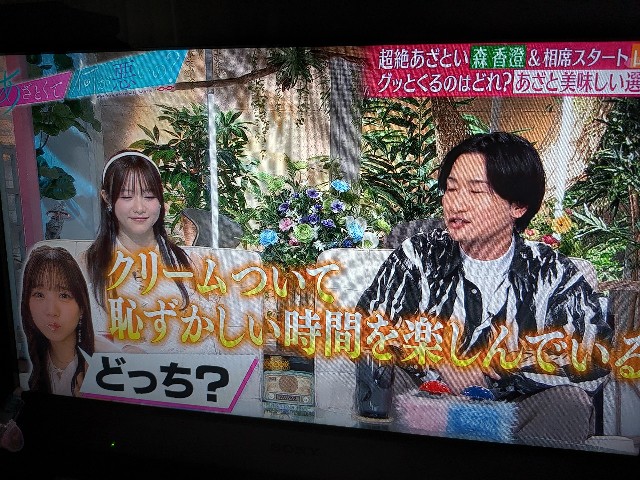 f:id:kimagure_tk:20240327092129j:image f:id:kimagure_tk:20240327092129j:image