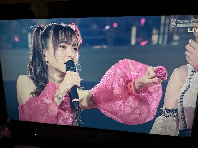 f:id:kimagure_tk:20240327094956j:image f:id:kimagure_tk:20240327094956j:image