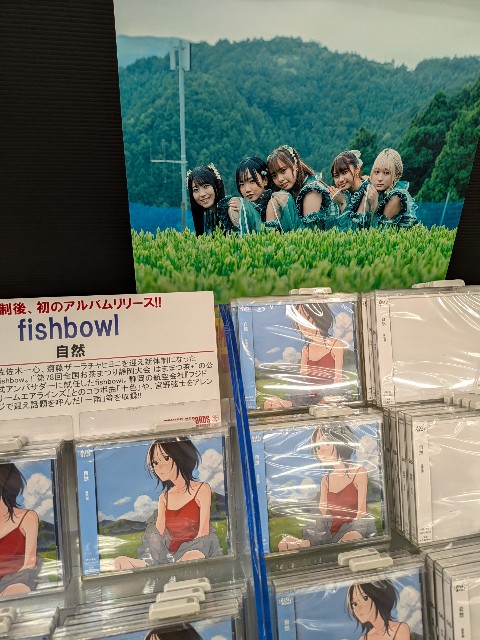 f:id:kimagure_tk:20240829124646j:image