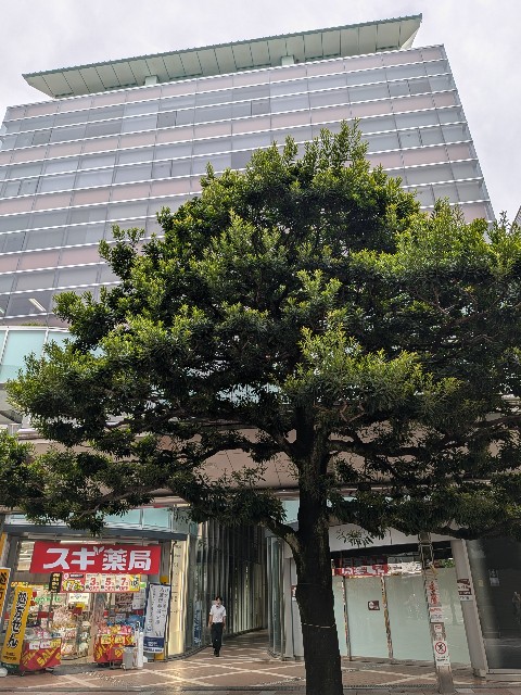 f:id:kimagure_tk:20240829130055j:image