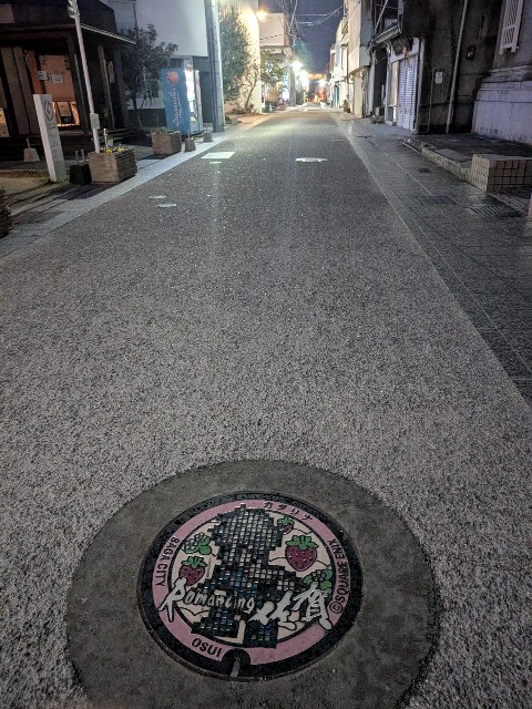 f:id:kimagure_tk:20250110130200j:image