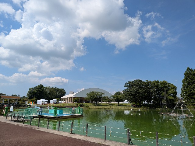 f:id:kimagure_tk:20250714103711j:image