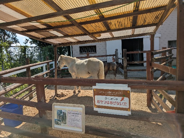 f:id:kimagure_tk:20250714122954j:image