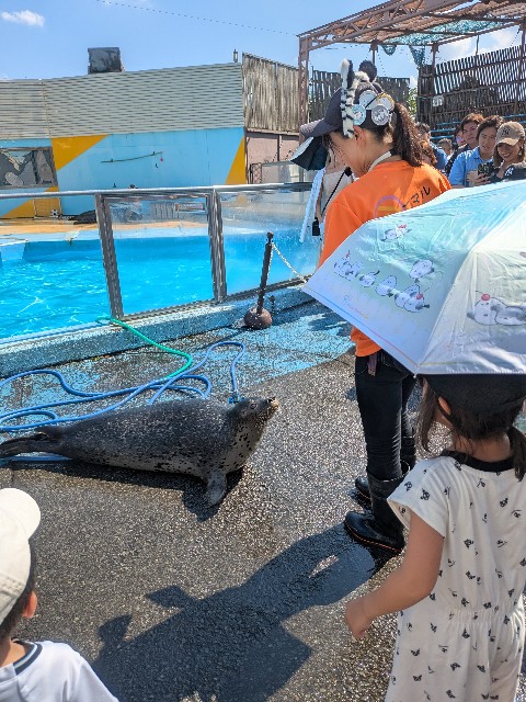 f:id:kimagure_tk:20250714123352j:image