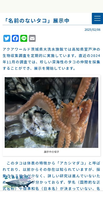f:id:kimagure_tk:20251021140130j:image