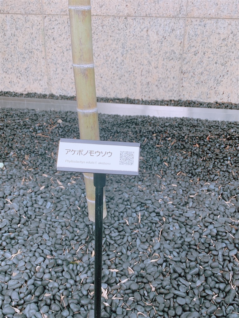 f:id:kimagureouji:20200617211940j:image