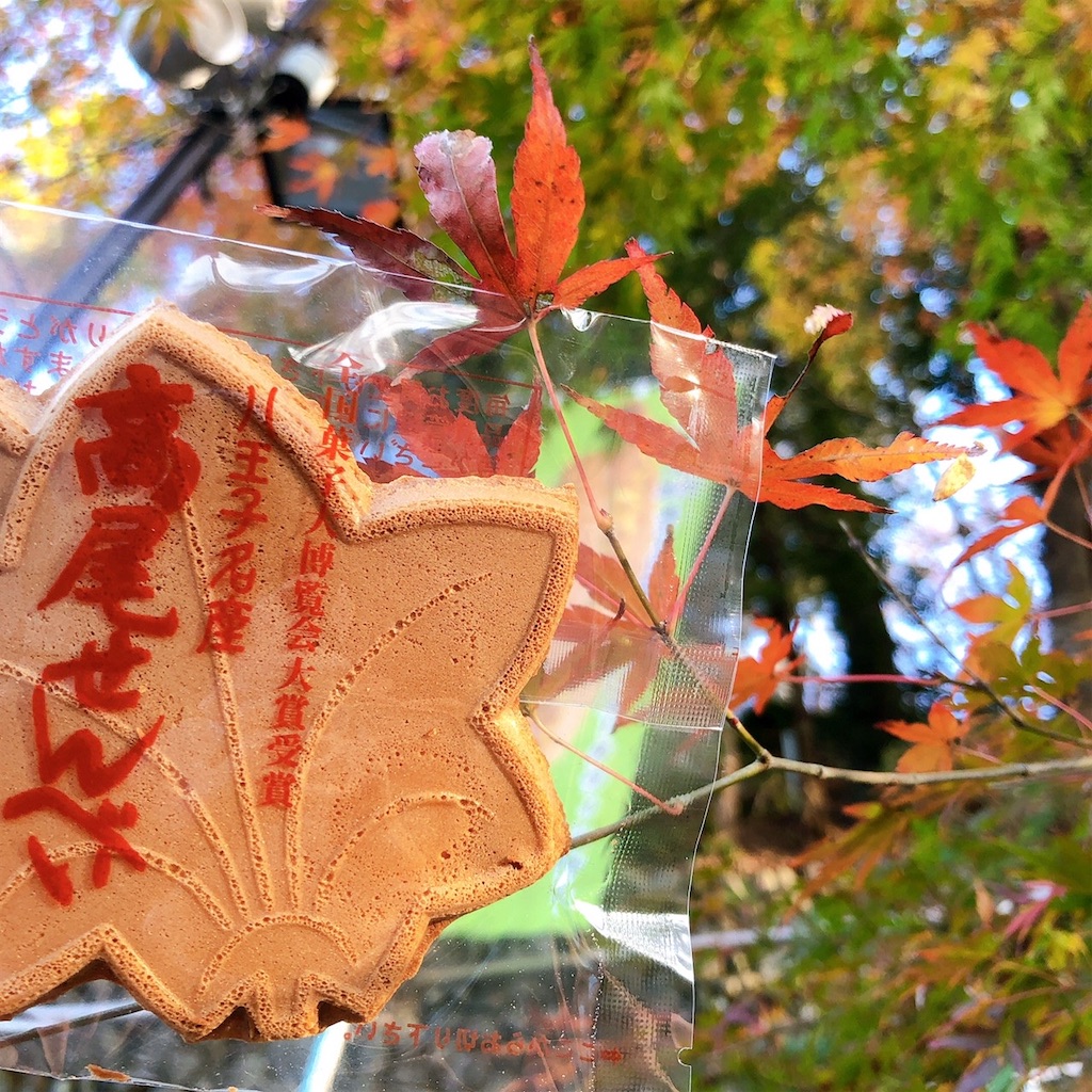 f:id:kimagureouji:20201207163725j:image