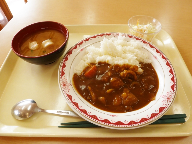 f:id:kimagureouji:20210119173846j:plain
