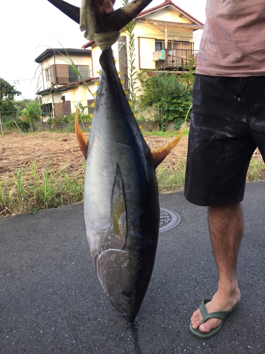 f:id:kimagureturishi:20190811081003j:plain f:id:kimagureturishi:20190811081003j:plain