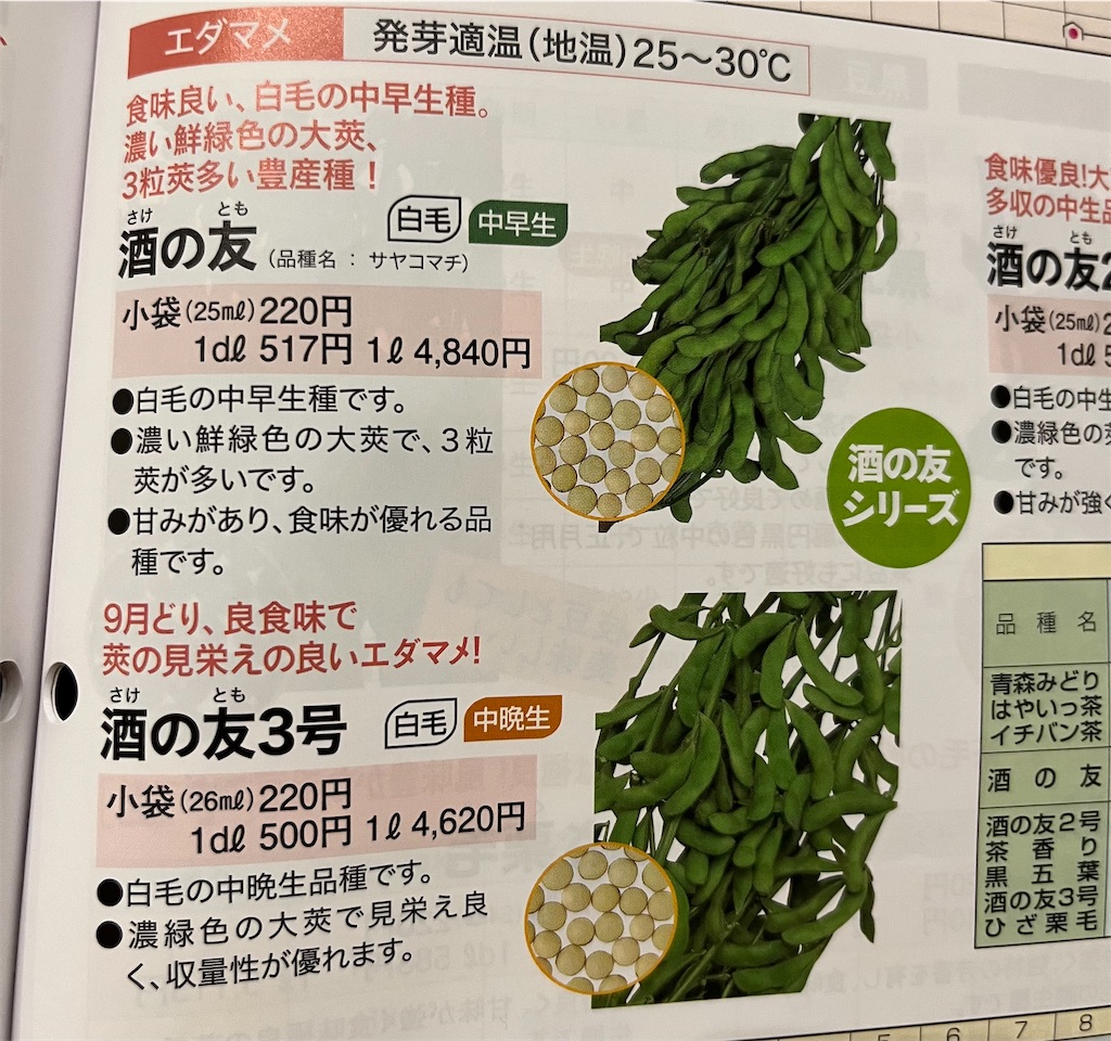 f:id:kimama84:20240512210502j:image