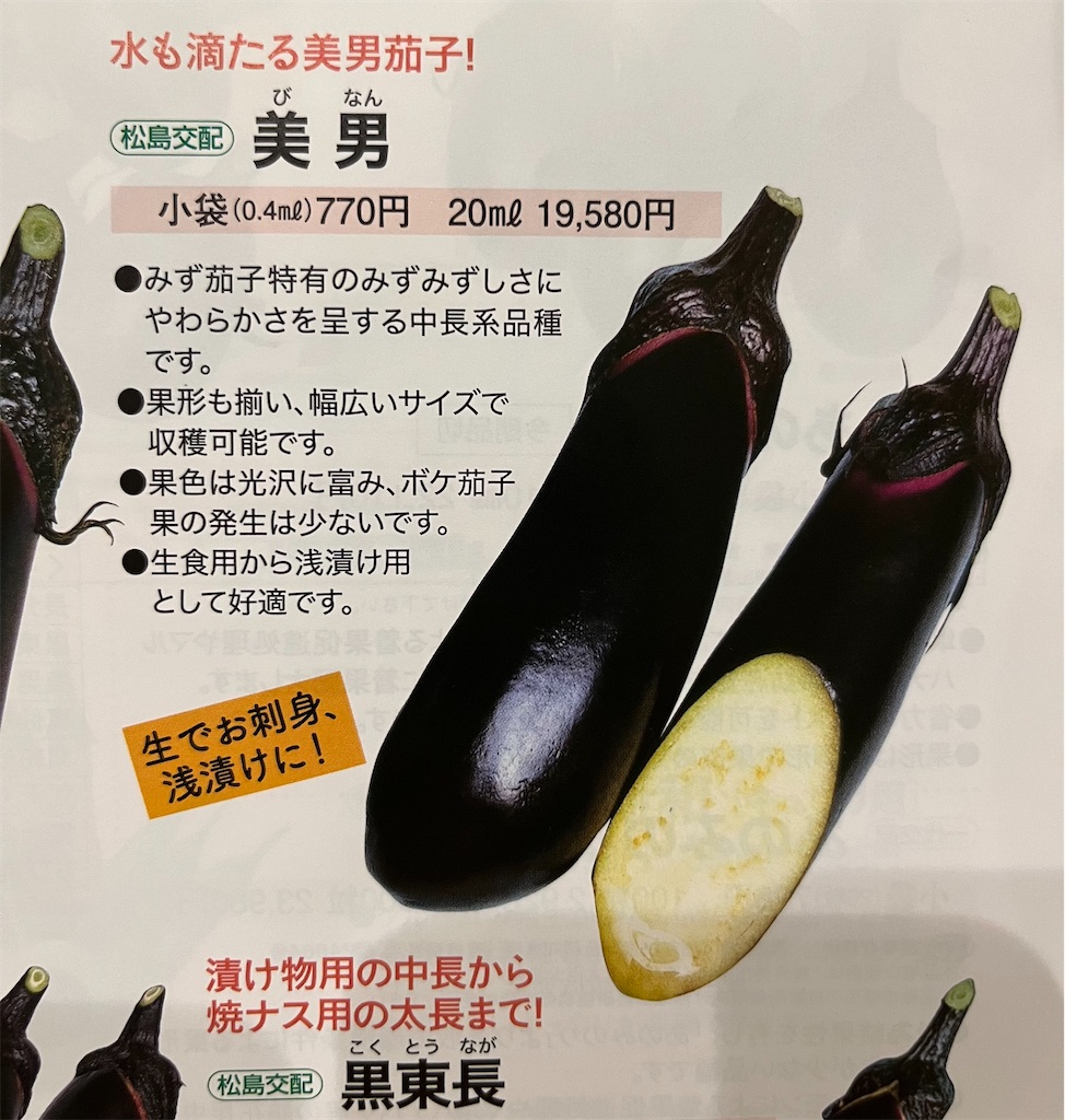f:id:kimama84:20240512210507j:image