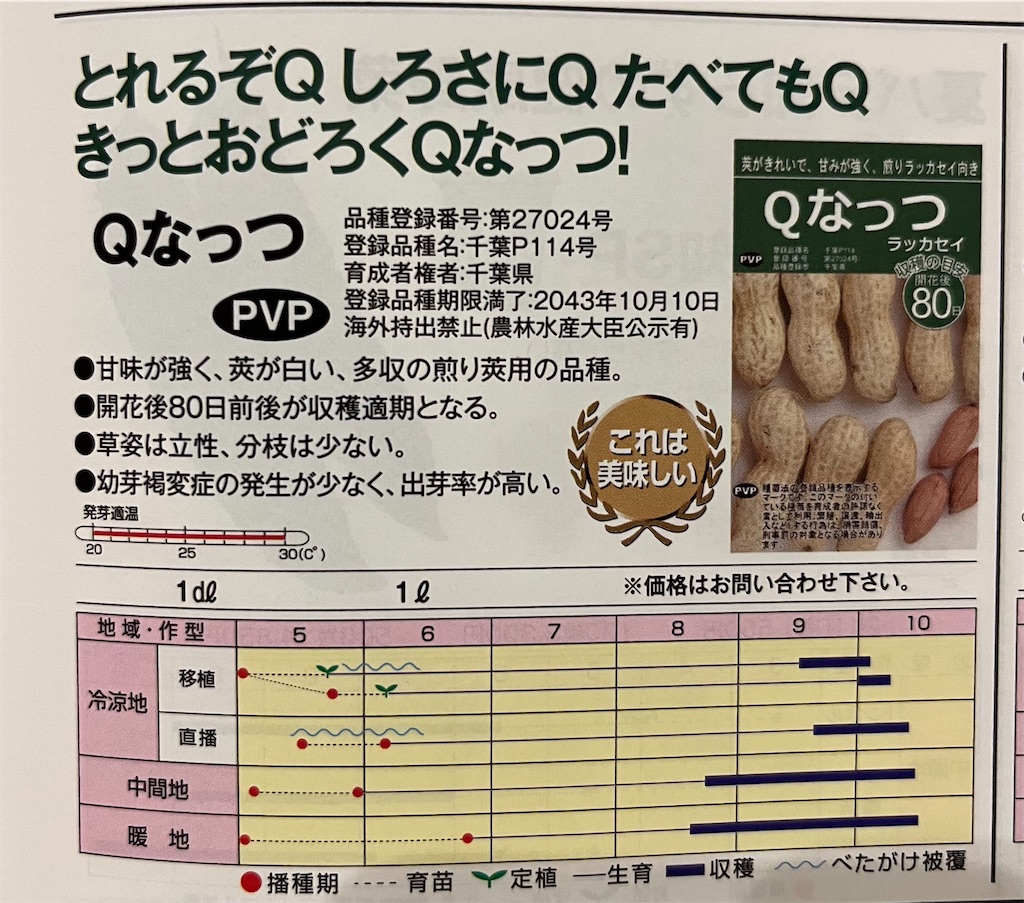 f:id:kimama84:20240512210513j:image