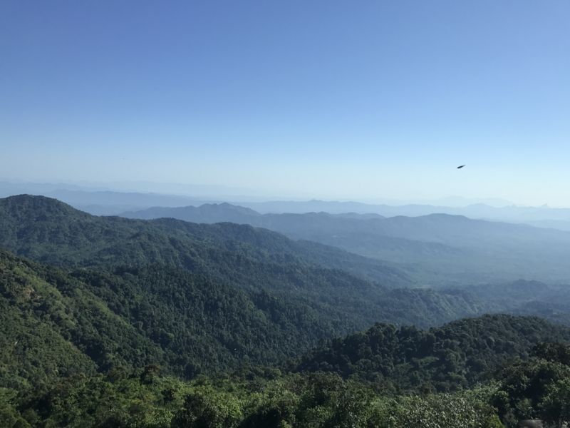 f:id:kimamanablog:20180715205801j:plain f:id:kimamanablog:20180715205801j:plain