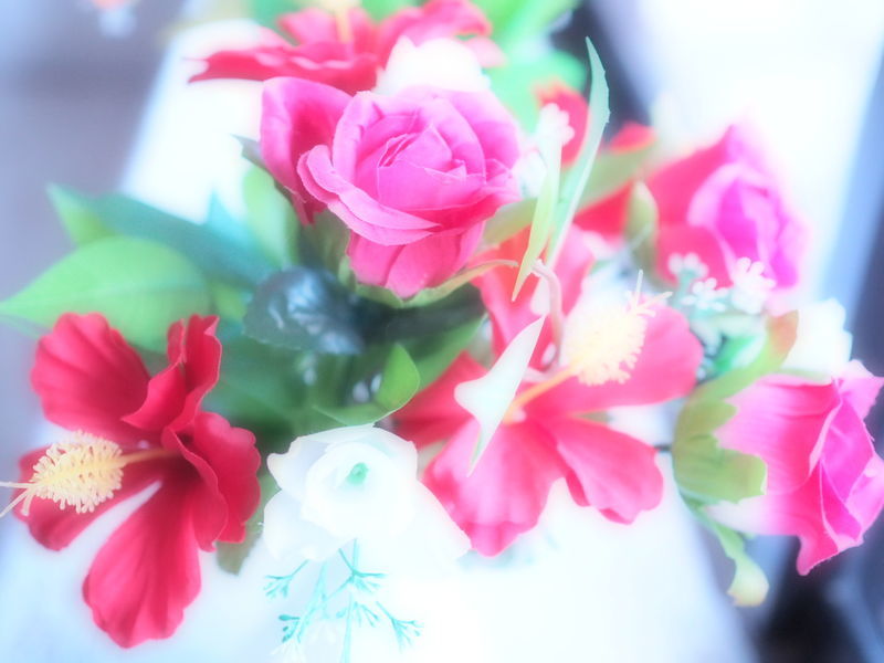 f:id:kimamanablog:20180901144801j:plain f:id:kimamanablog:20180901144801j:plain