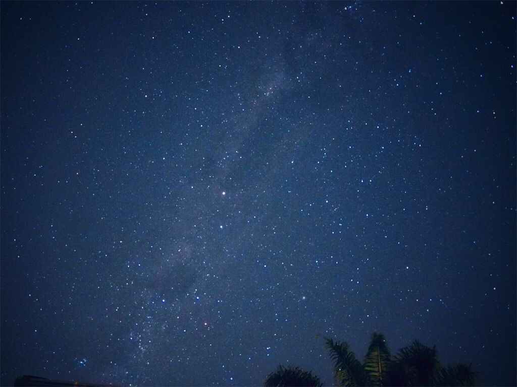 f:id:kimamanablog:20190625194028j:image f:id:kimamanablog:20190625194028j:image