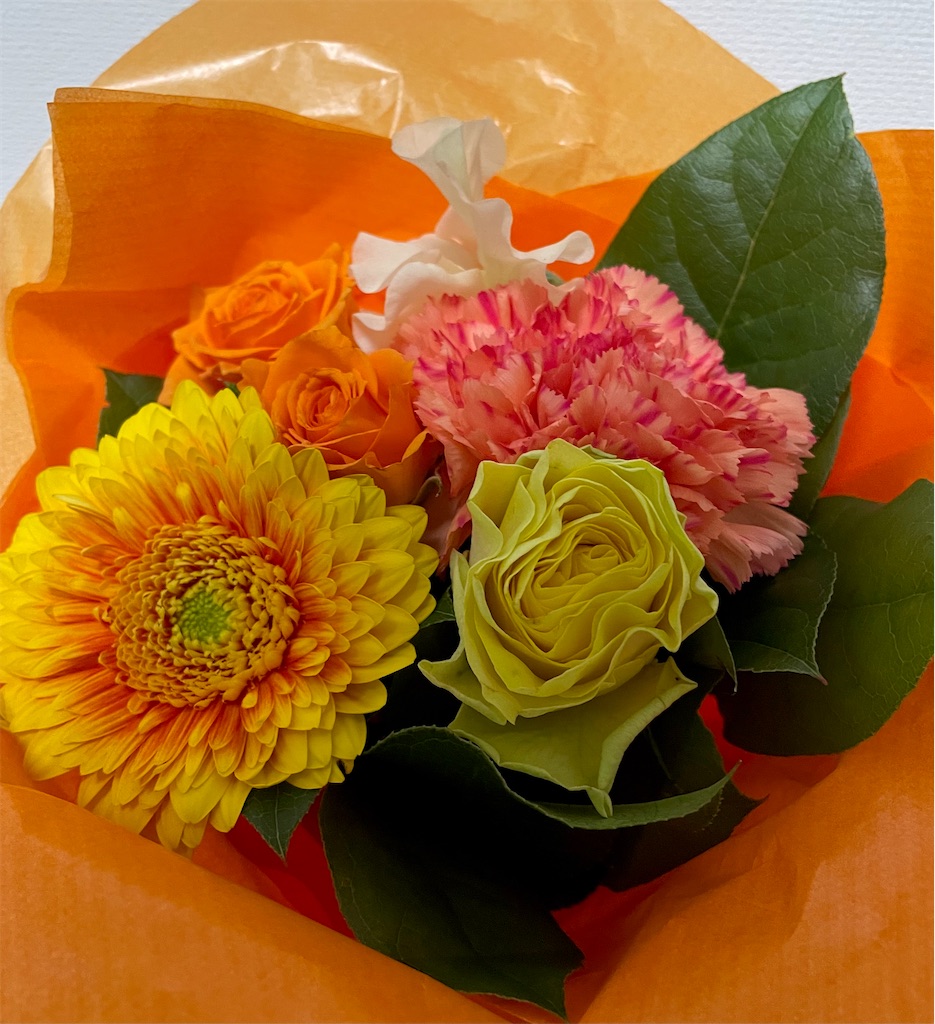 f:id:kimamanazakki:20220330235541j:image f:id:kimamanazakki:20220330235541j:image