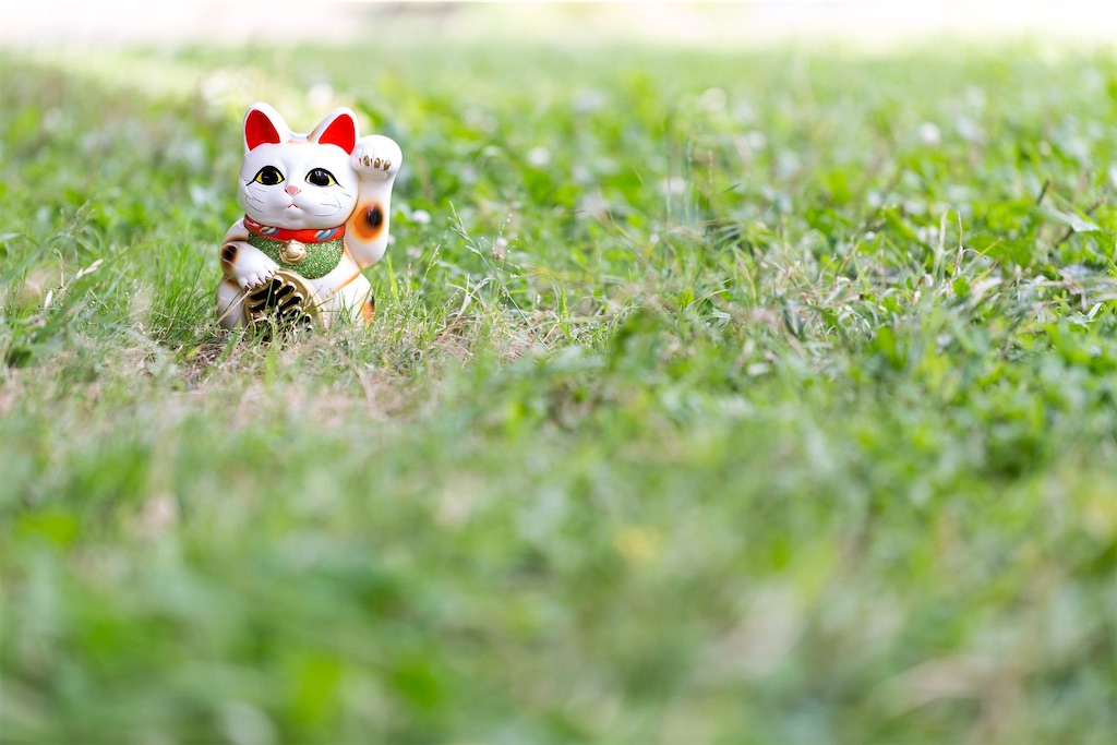 f:id:kimamaneko-miwa:20200817235214j:image