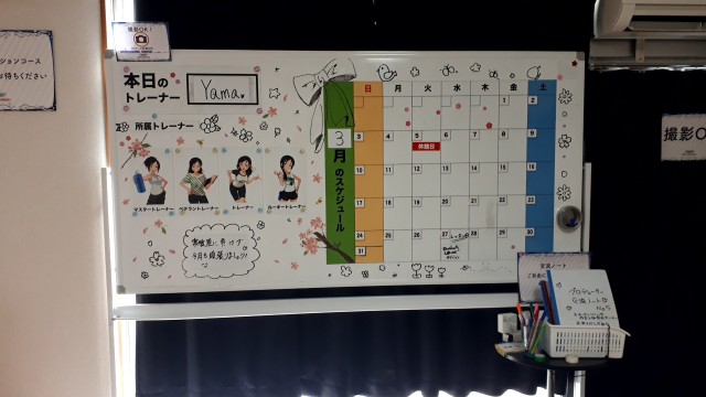 f:id:kimamanidance:20190327234512j:image